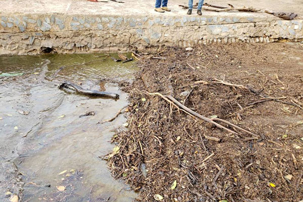 Fotos+Video: Playas de Punto Fijo contaminadas por derrame de petróleo 