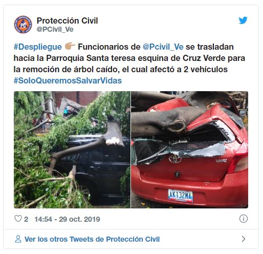 Fuertes lluvias derriba un árbol y daña dos vehículos en Caracas