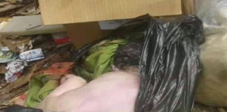 FOTOS| Indigente buscaba comida y encontró cadáver de un bebé en basurero de Valencia