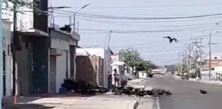 ¡De Terror!, "Una zamurera", calles, Punto Fijo, Video, Reporte Comunitario, Falcón