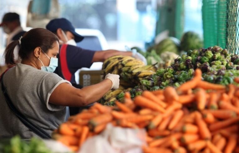 FAO y Venezuela analizan planes de protección alimentaria