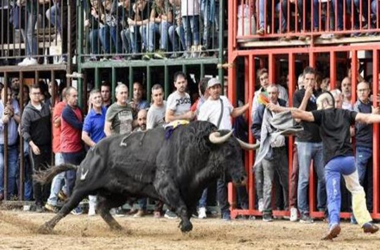 España: Muere Un Hombre Tras Ser Corneado Por Un Toro En Una Fiesta ...