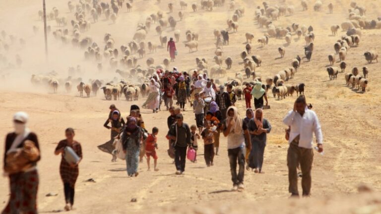 Guerras y desastres causaron un récord de 59 millones de desplazados en 2021, según informe