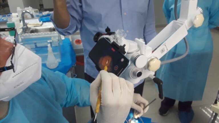 Por primera vez en el mundo, científicos venezolanos regeneran pulpa dental con células madre