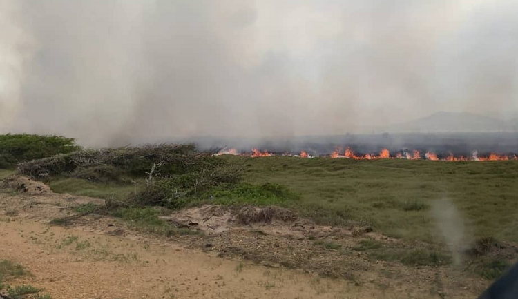 Incendio en La Bocaina consume 30 hectáreas de vegetación