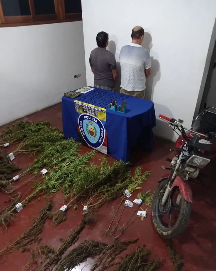 Arrestan a dos personas por siembra y distribución de marihuana en La Quebrada de Trujillo