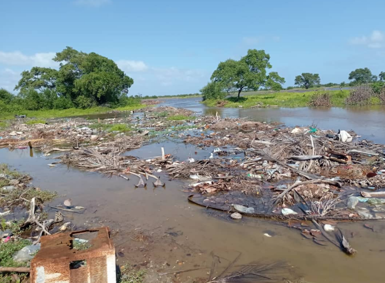 Reportan desastre ecológico en Boca de Mangle