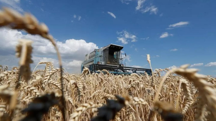 Rusia suspende su participación en acuerdo de exportación de granos ucranianos
