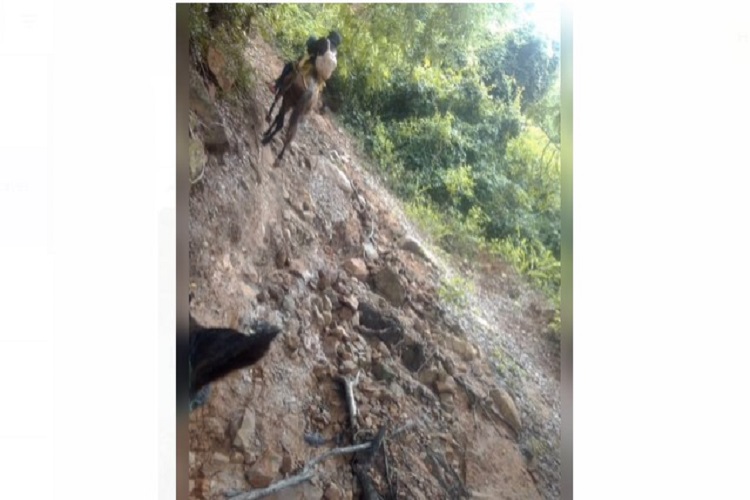 Buchivacoa: Carretera hacia el sector La Rosa a punto de desaparecer por mal estado (+Fotos y video)