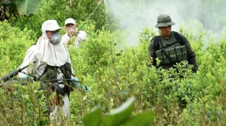 Colombia rompe récord histórico de narcocultivos