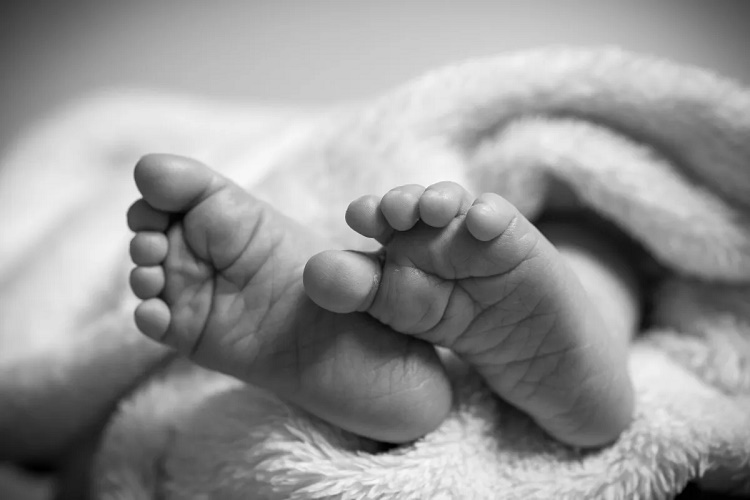 Punto Fijo| Murió el bebé que iba a ser vendido por 2 mil dólares