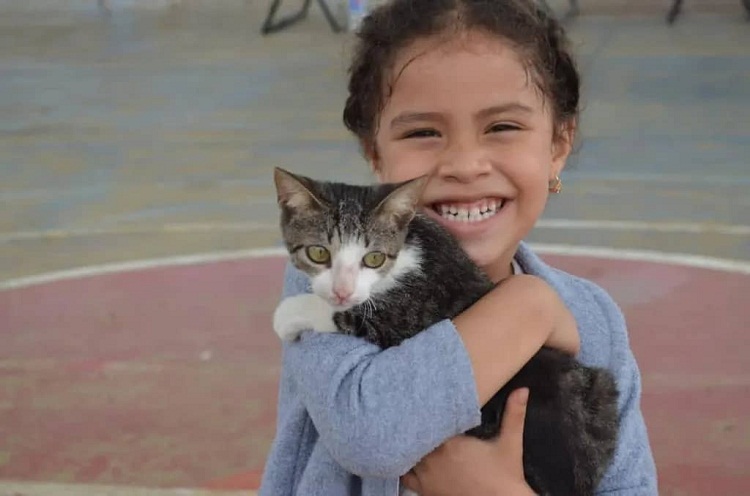  Alcaldía de Miranda brinda atención veterinaria integral a 90 mascotas en  Las Eugenias