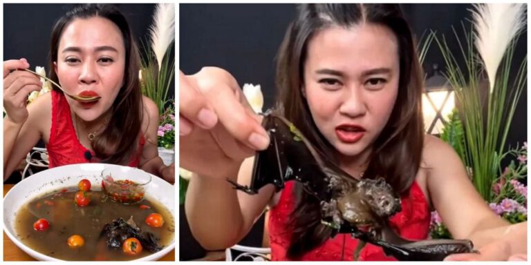 Una youtuber fue detenida por comer una sopa de murciélago