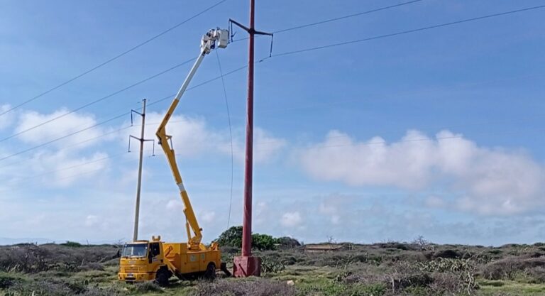 Corpoelec realiza mantenimiento especializado en líneas eléctricas en Falcón