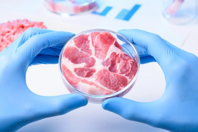 Autorizan a una start-up en EEUU a vender carne artificial