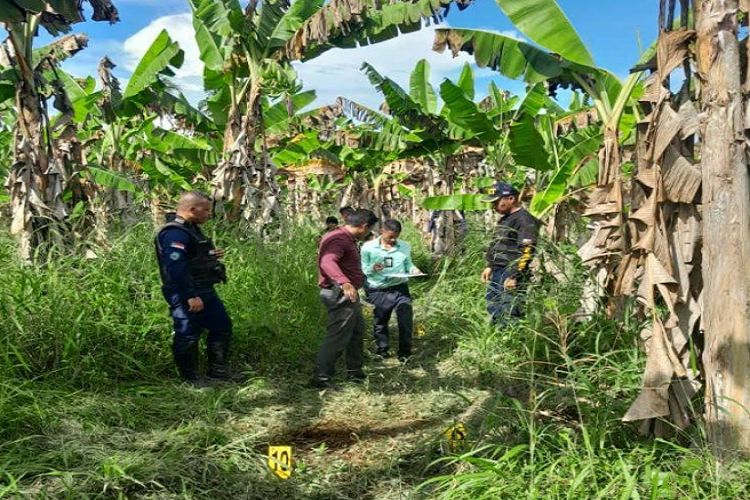 Abatido “El Chueco” en enfrentamiento en La Ceiba