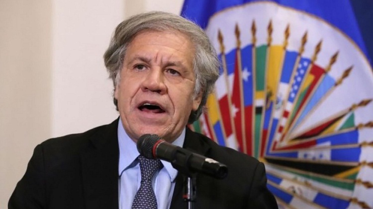 La OEA reconoce a Dina Boluarte como presidenta de Perú