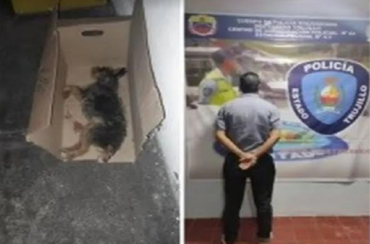 Transportistas paralizan servicio en apoyo a colega arrestado por atropellar un perro