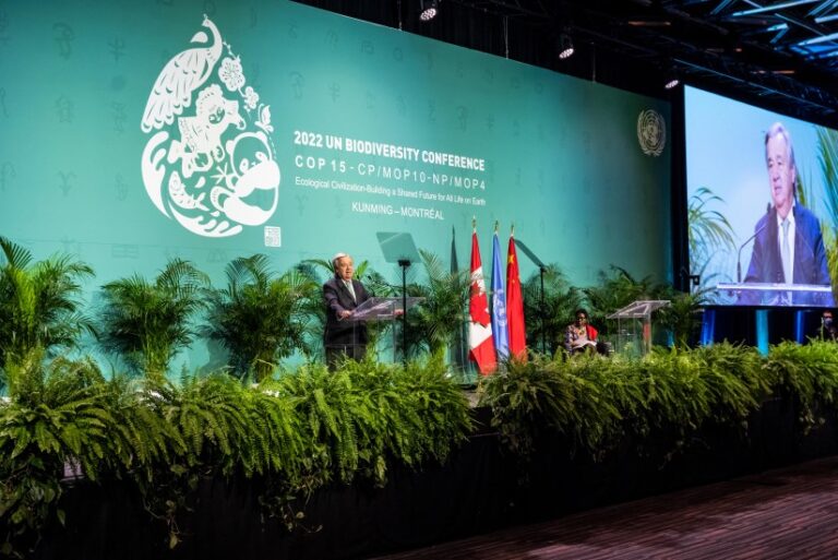 Alcanzan acuerdo histórico sobre biodiversidad en COP15 de Montreal