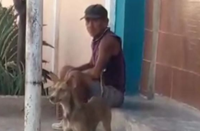 Detienen a hombre que tuvo relaciones con un perro en espacios públicos de Maracaibo