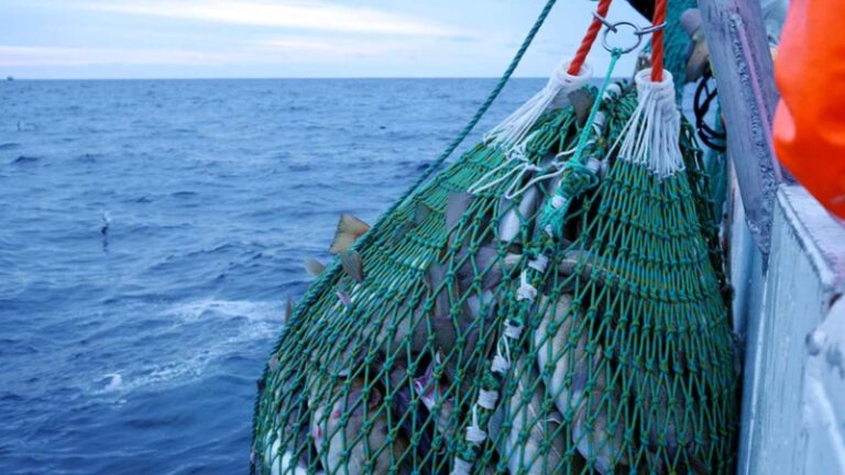 Groenlandia suspende su acuerdo de pesca con Rusia