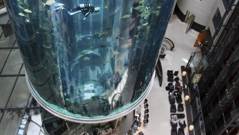 Explota un colosal acuario cilíndrico con 1.500 peces exóticos en Berlín