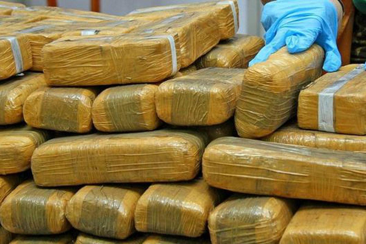 Falcón| Incautan 100 sacos con droga en Puerto Escondido 