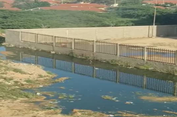 Un río de aguas negras se pasea por Balcones Paraguaná