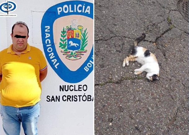 MP imputó a un hombre que arrolló un gato en San Cristóbal