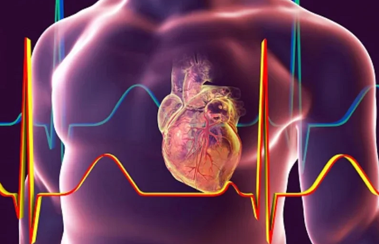 Confirman las peligrosas secuelas que provoca la covid en el corazón