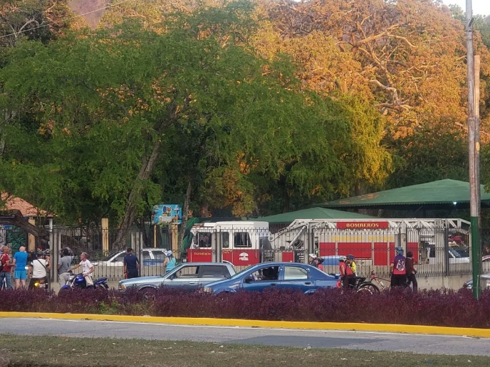 Un niño muerto y cinco heridos al caer árbol en un parque zoológico