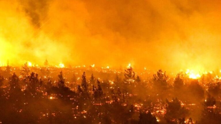 Decretan toque de queda en zonas afectadas por incendios en Chile