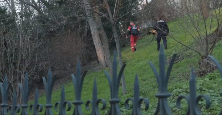 Hallan los restos de otra mujer descuartizada en un parque de París