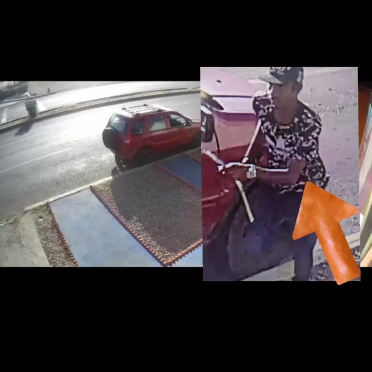 Cicpc Punto Fijo captura a delincuente que fue captado en video robando celular