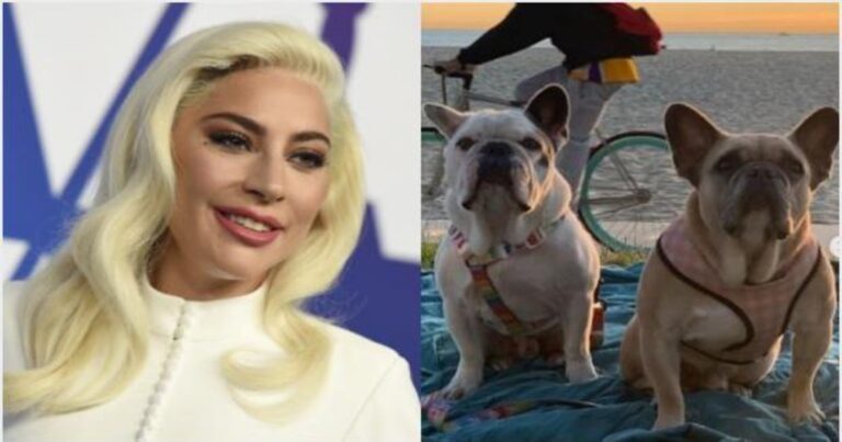 La mujer que devolvió los perros secuestrados de Lady Gaga exige una recompensa de USD 500.000
