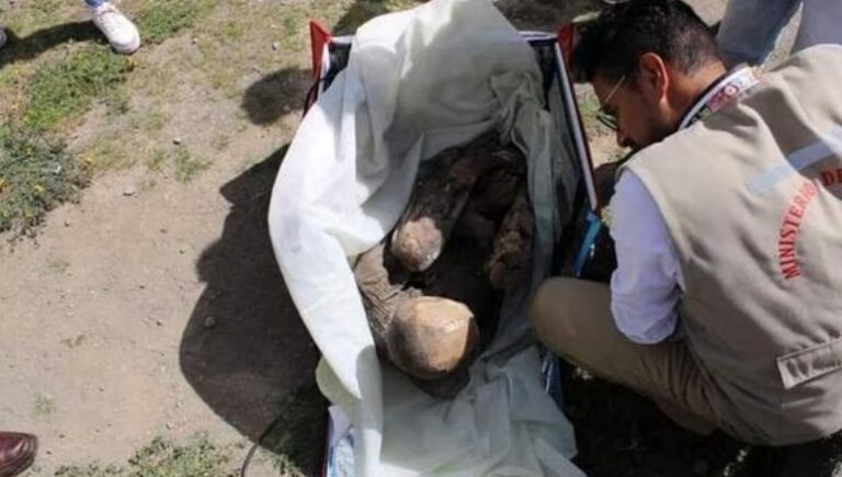 Recuperan momia prehispánica que tenía un joven en una caja de delivery