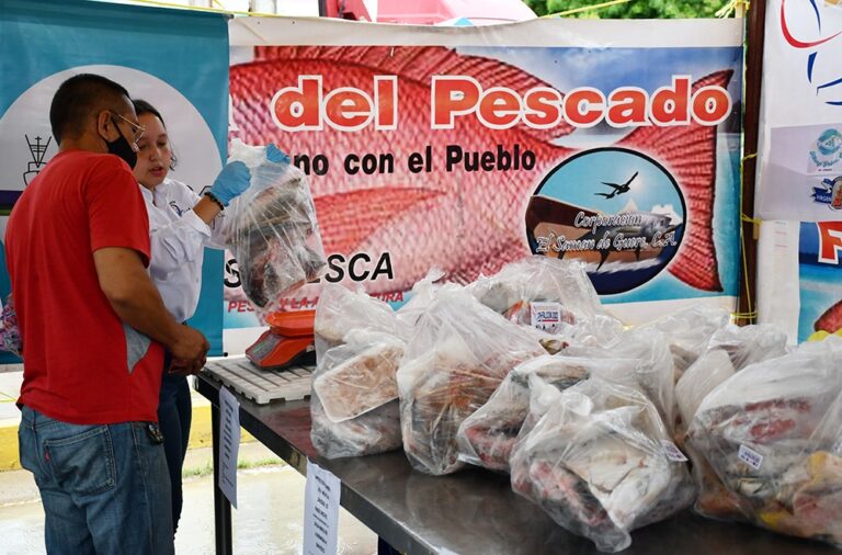 Siete toneladas de pescados se venderán este sábado en la alcaldía de Carirubana