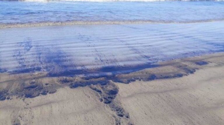 Kuwait declara estado de emergencia por derrame de petróleo en el oeste del país