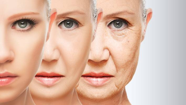 Científicos logran ralentizar el envejecimiento mediante ingeniería celular