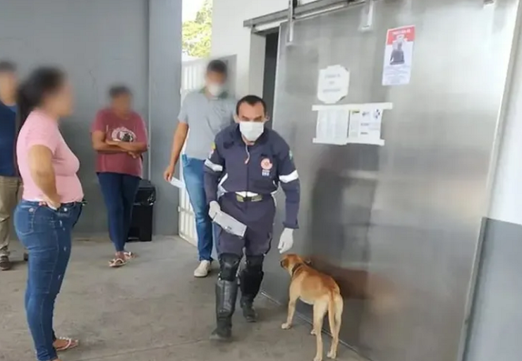 Perro persiguió por varios kilómetros a la ambulancia que trasladaba a su dueño