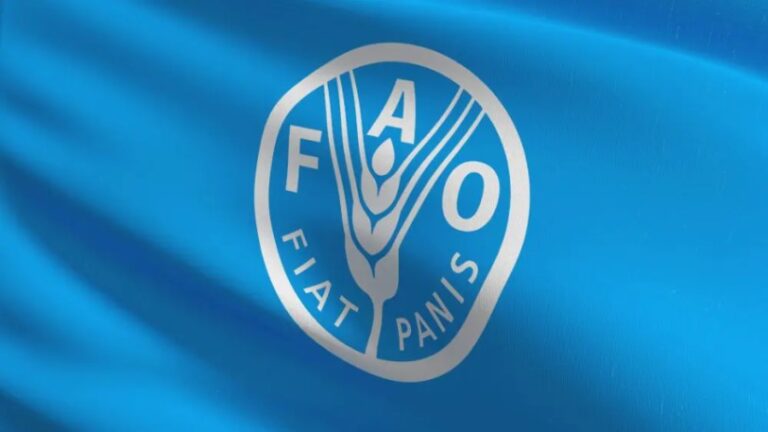 FAO advierte los riesgos del fenómeno «El Niño» en América Latina