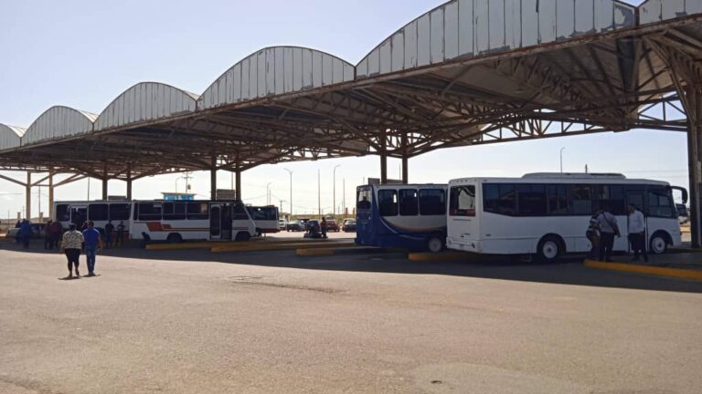 Más de 5 mil turistas ingresaron a Paraguaná por el terminal de Punto Fijo