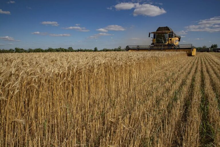 Polonia vuelve a autorizar el tránsito de trigo ucraniano