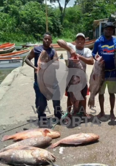 Buscan a tres pescadores de La Guaira desaparecidos en alta mar