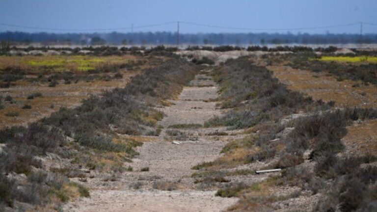 El gobierno español lanza medidas frente a la sequía