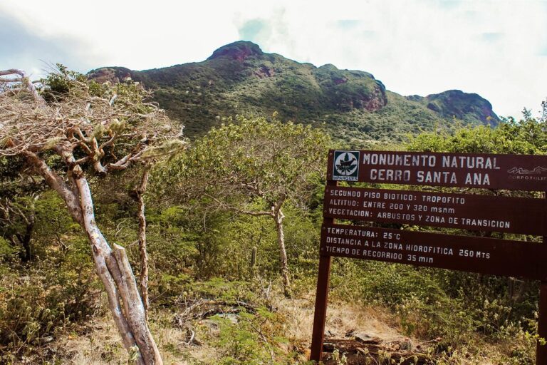 Monumento Natural Cerro Santa Ana celebra 51 años de su declaración