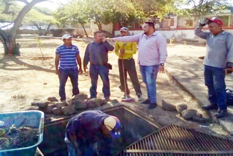 Prosiguen labores de rescate en vivero municipal de Carirubana