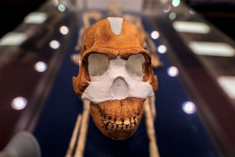 Descubren las primeras tumbas de la prehistoria con restos de huesos de «Homo naledi»