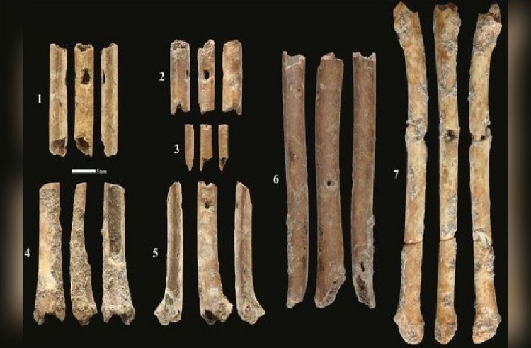 Israel: Descubren impresionantes flautas de hueso de hace 12 mil años