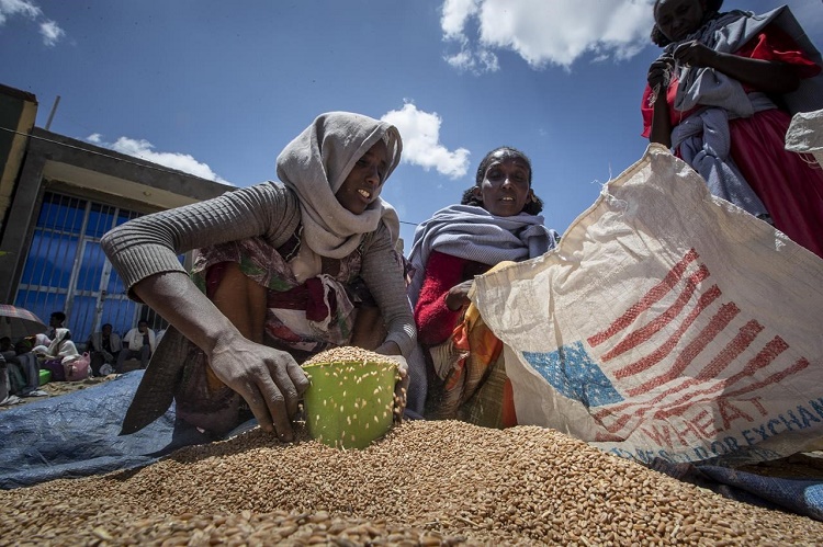EEUU. suspende ayuda alimentaria a Etiopía tras descubrir que vendían esos productos en los mercados